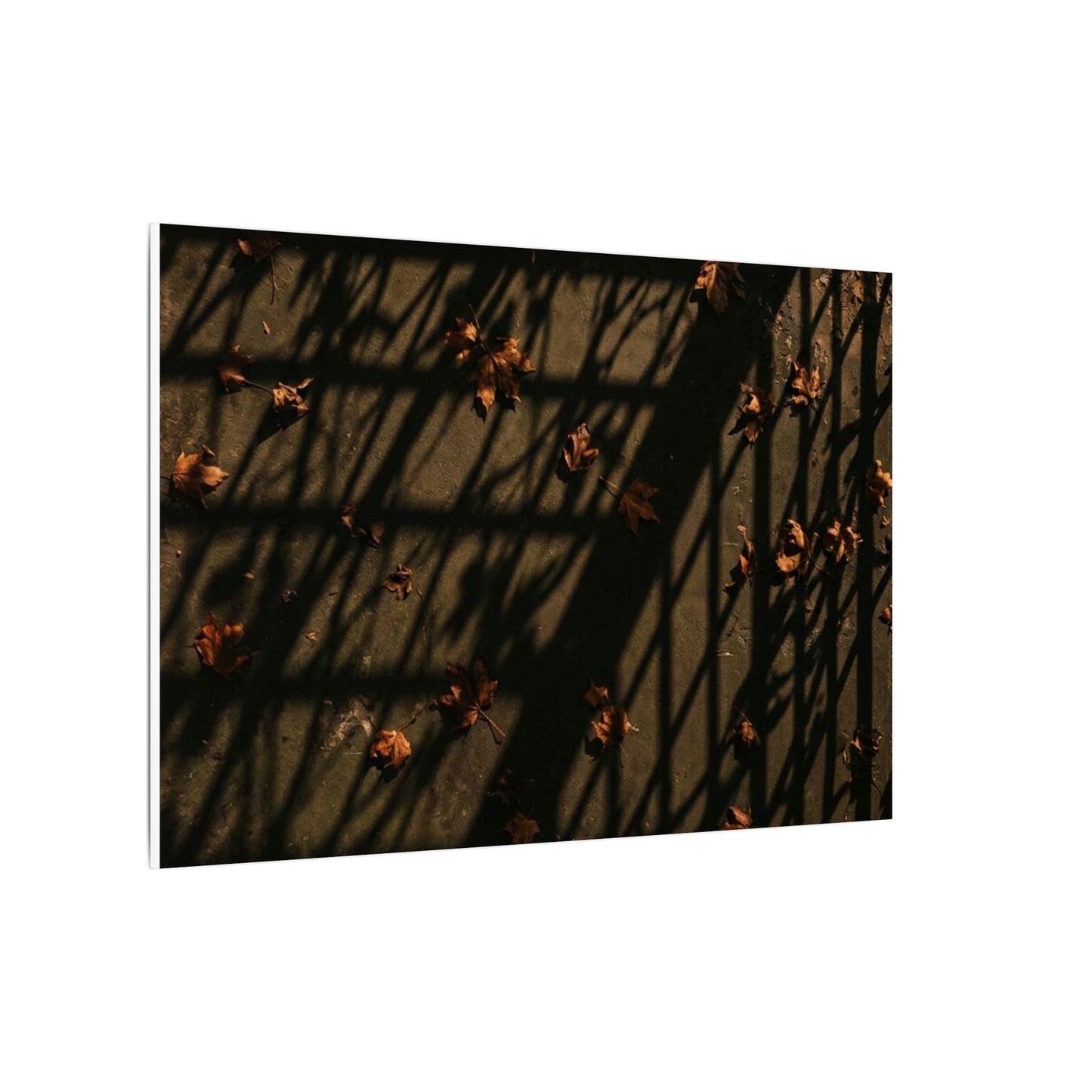 Shadow Play Canvas Art | Autumn Dark Japandi Moody Minimal Art