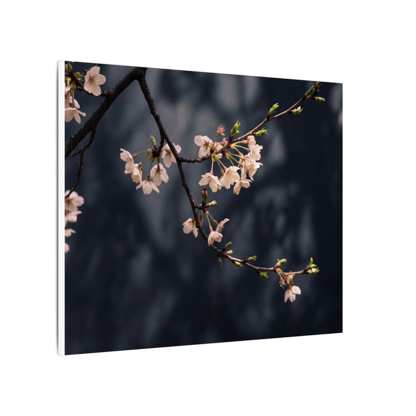 Cherry Blossom Moody Minimal Canvas Art | Bold Dark Japandi Art