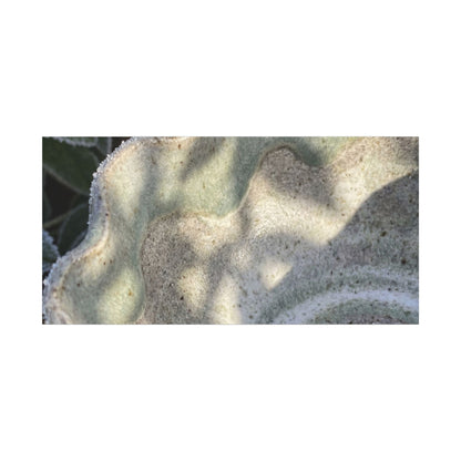 Dappled Ceramic Bowl Canvas Art - Japandi Seijaku