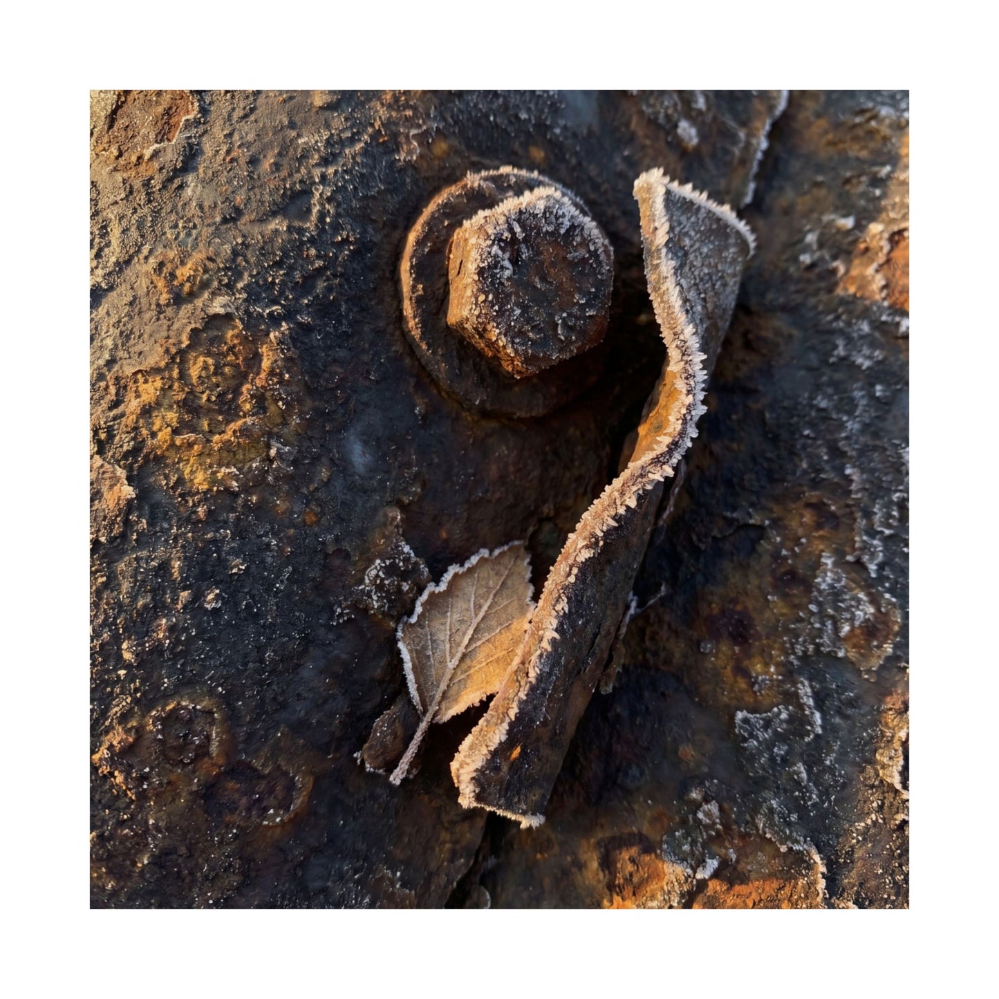Golden Hour Rust Patina Wall Art Print - Dark Japandi Datsuzoku