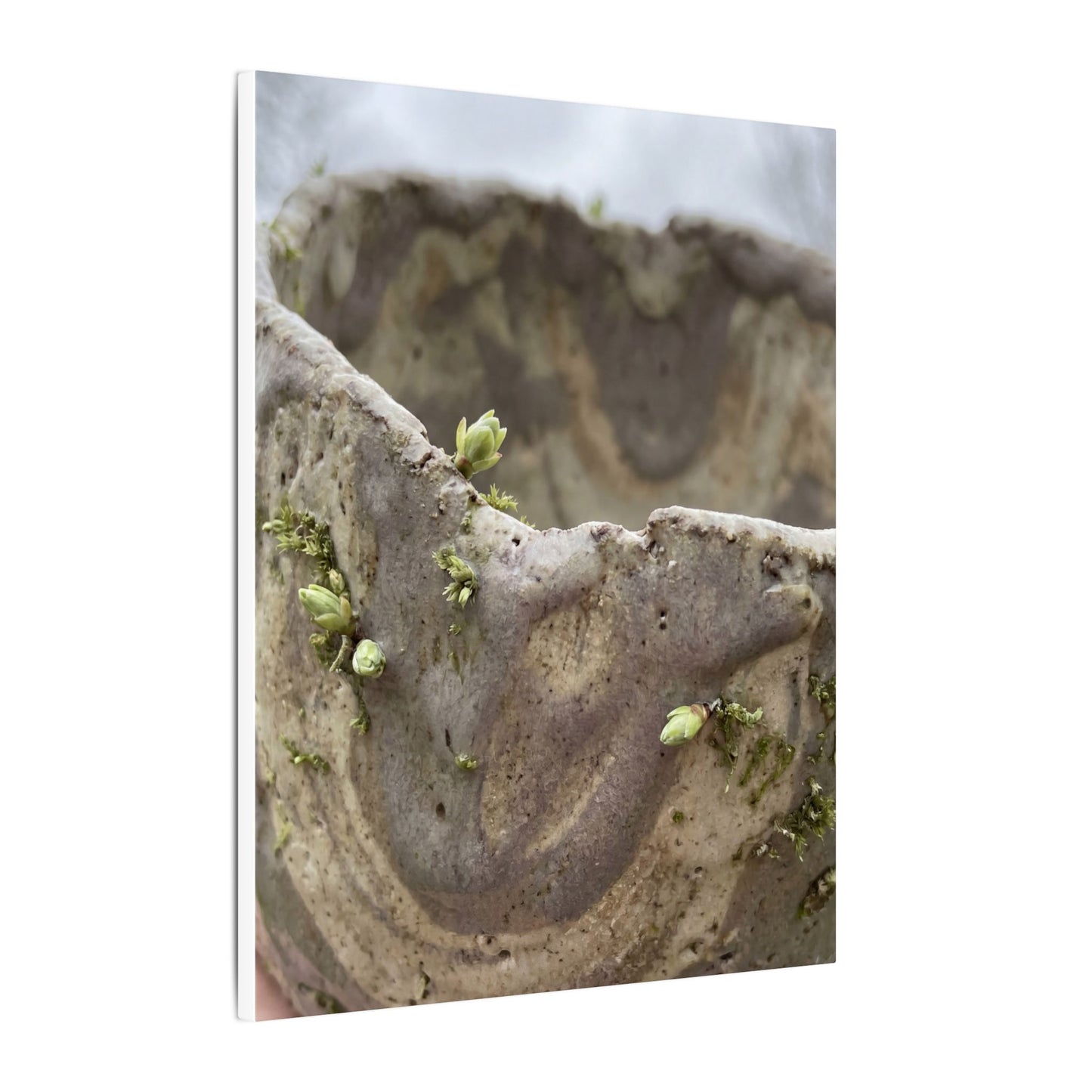 Overcast Ceramic Bowl Canvas Art - Japandi Fukinsei