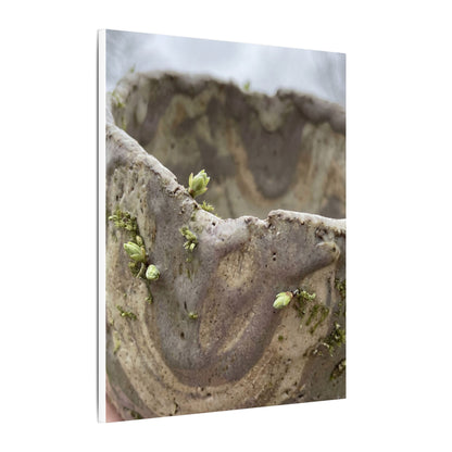 Overcast Ceramic Bowl Canvas Art - Japandi Fukinsei