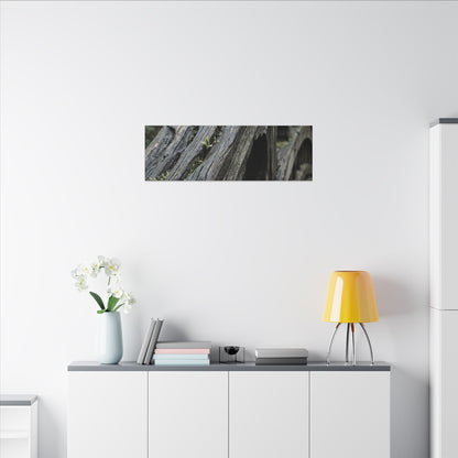 Overcast Wooden Bridge Canvas Art - Japandi Kanso