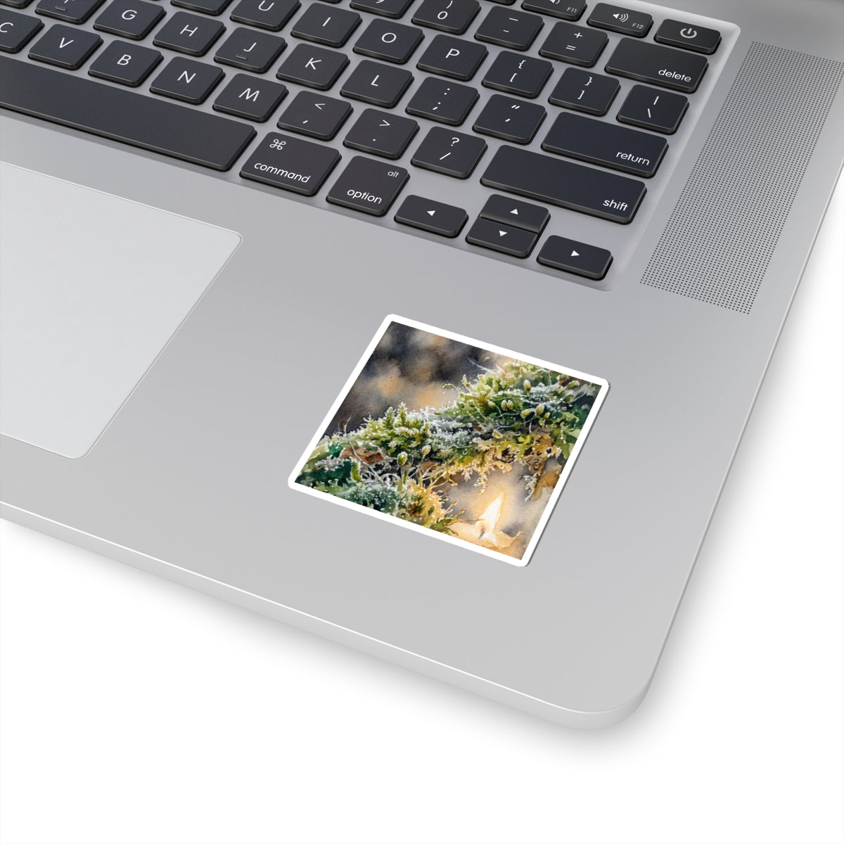 Japandi Moss Close Up in Candlelight | Watercolor Sticker