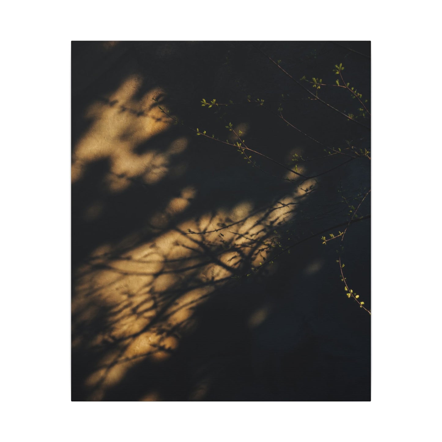 Moody Shadow Play Canvas Art - Moody Minimal Dark Japandi