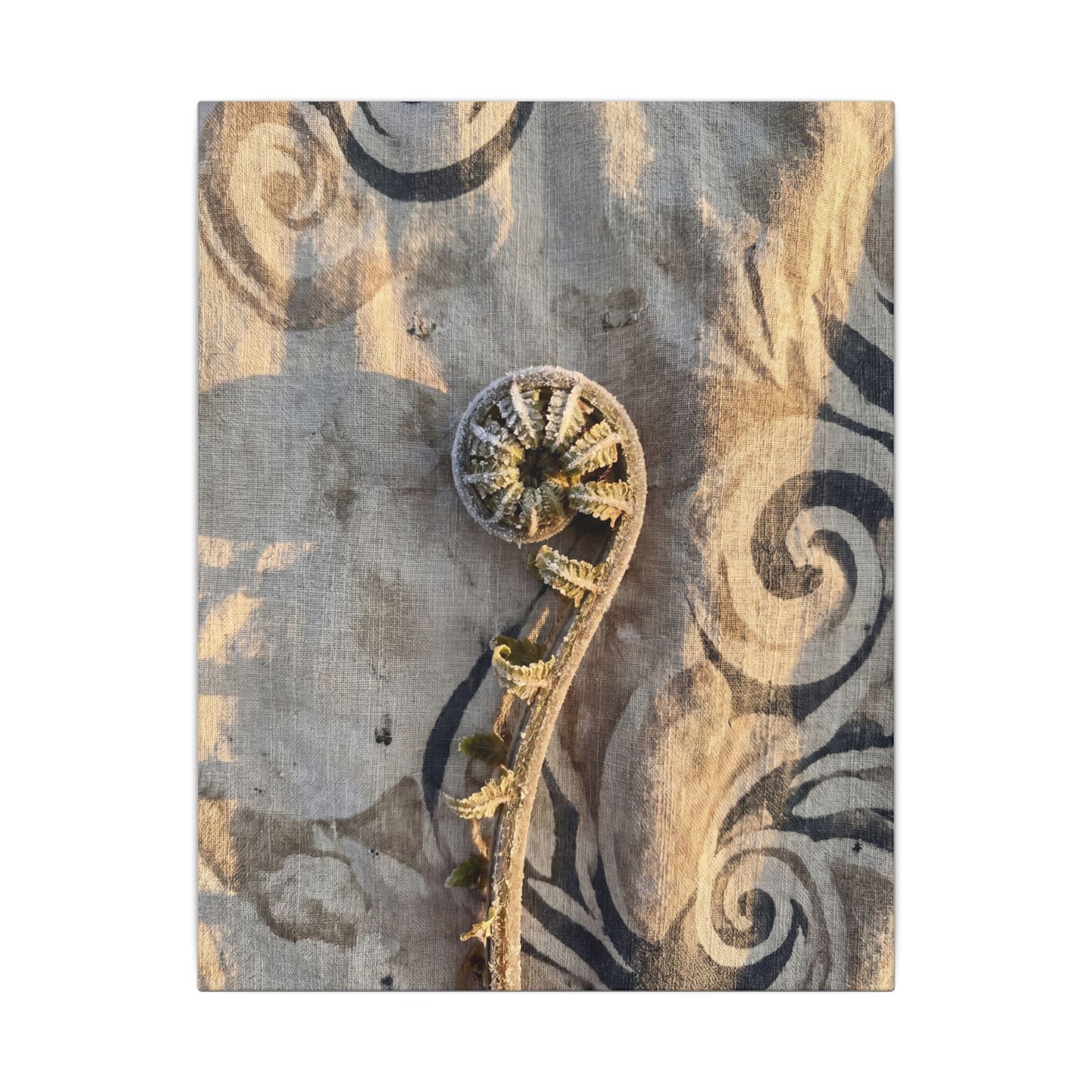 Fern Unfurling Canvas Art | Winter Japandi Japanese Pattern Art