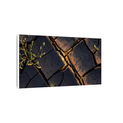 Kintsugi Cracked Earth in Golden Hour | Gold Vein Canvas Art
