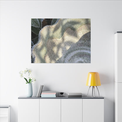 Dappled Ceramic Bowl Canvas Art - Japandi Seijaku