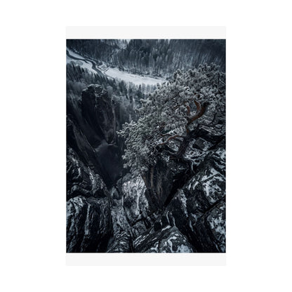 Pine Tree Wall Art Print | Winter Dark Japandi Dark Texture Art