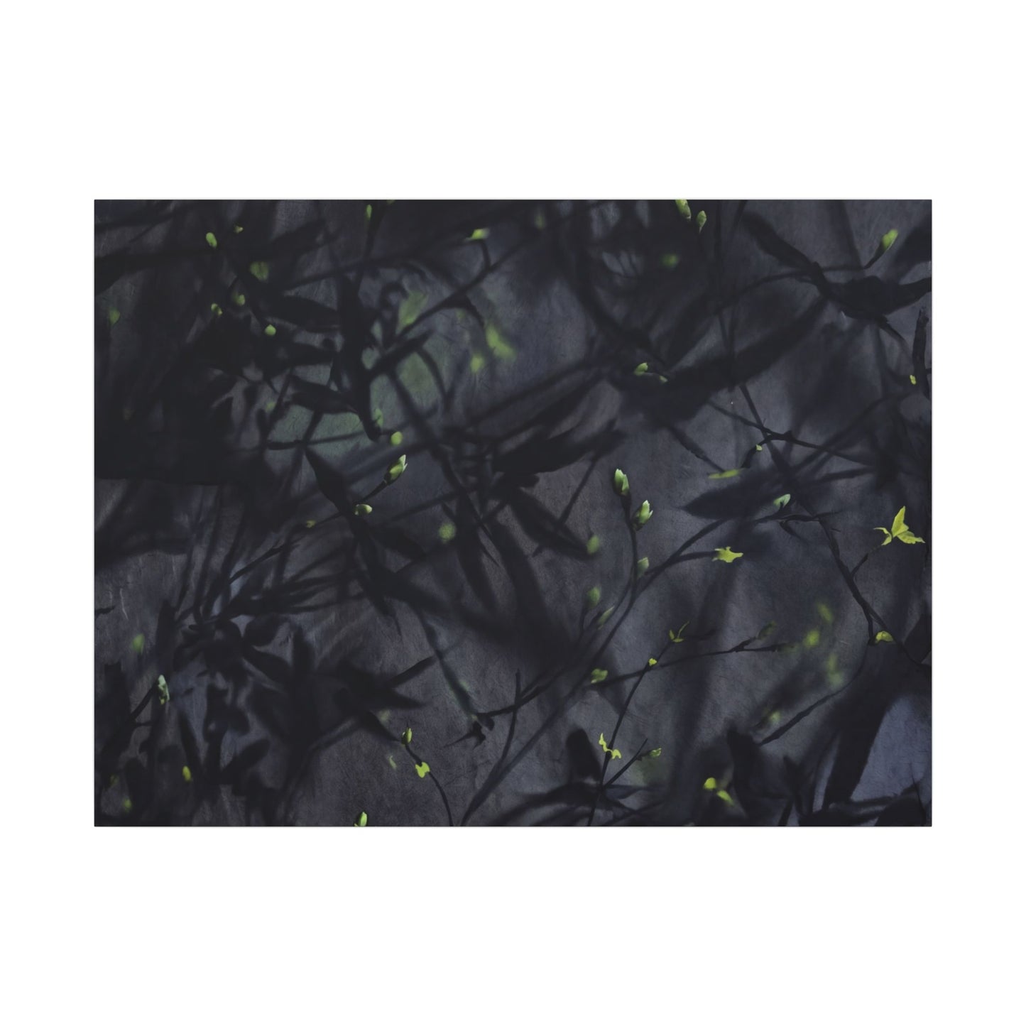 Shadow Play Spring Canvas Art | Dark Japandi Atmospheric Design