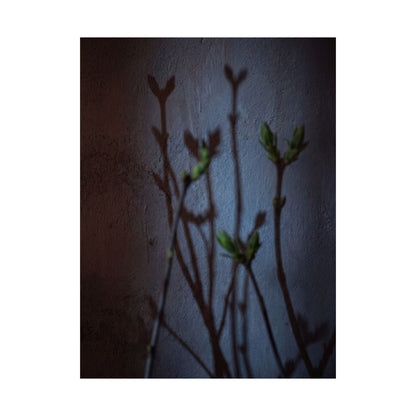 Spring Shadow Play Shadow Zen Wall Art Print | Moody Decor