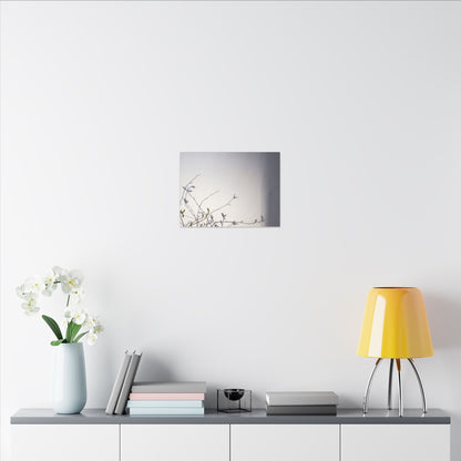 Japandi Shadow Play in Dawn | Japanese Pattern Canvas Art