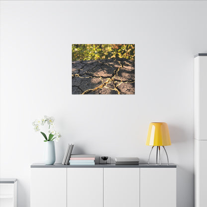 Shibui Cracked Earth Canvas Art - Kintsugi Gold Repair
