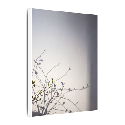 Japandi Shadow Play in Dawn | Japanese Pattern Canvas Art