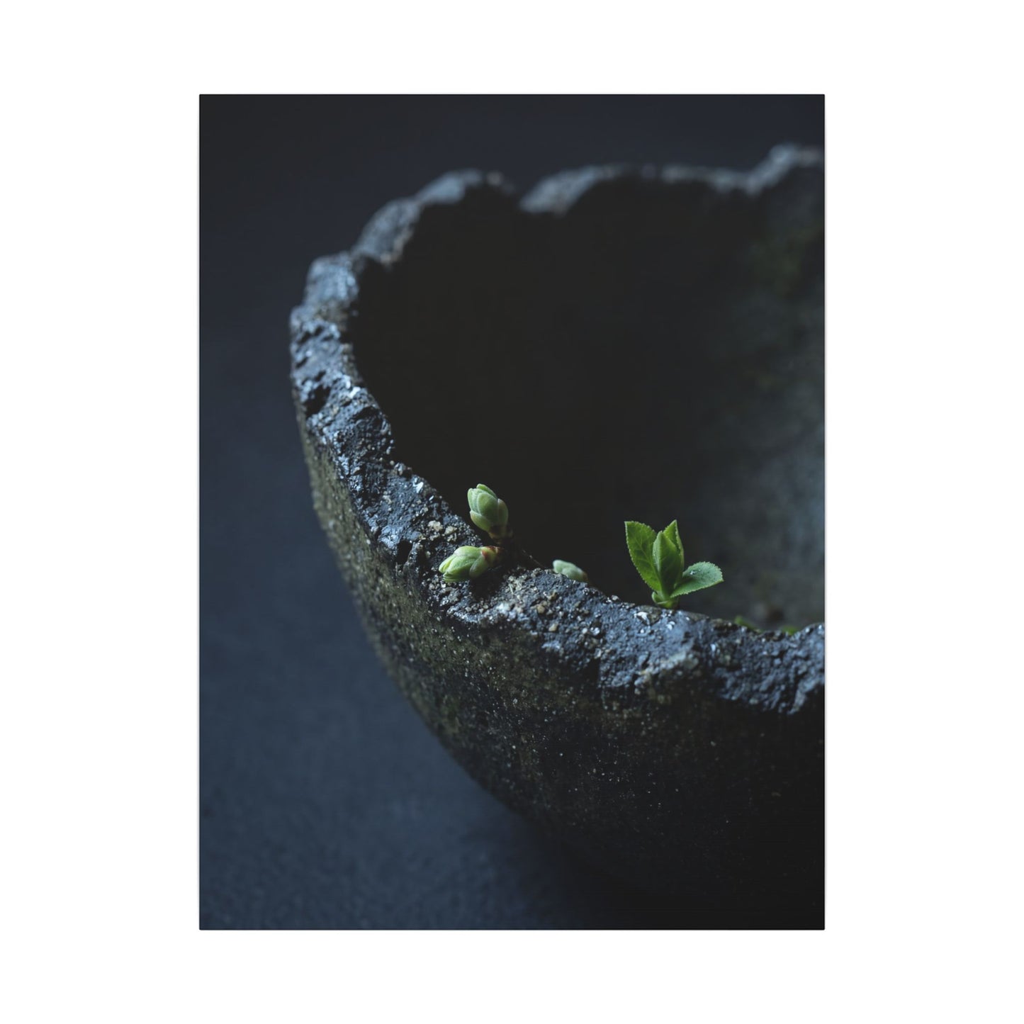 Dark Japandi Ceramic Bowl in Moonlight | Moody Minimal Canvas Art