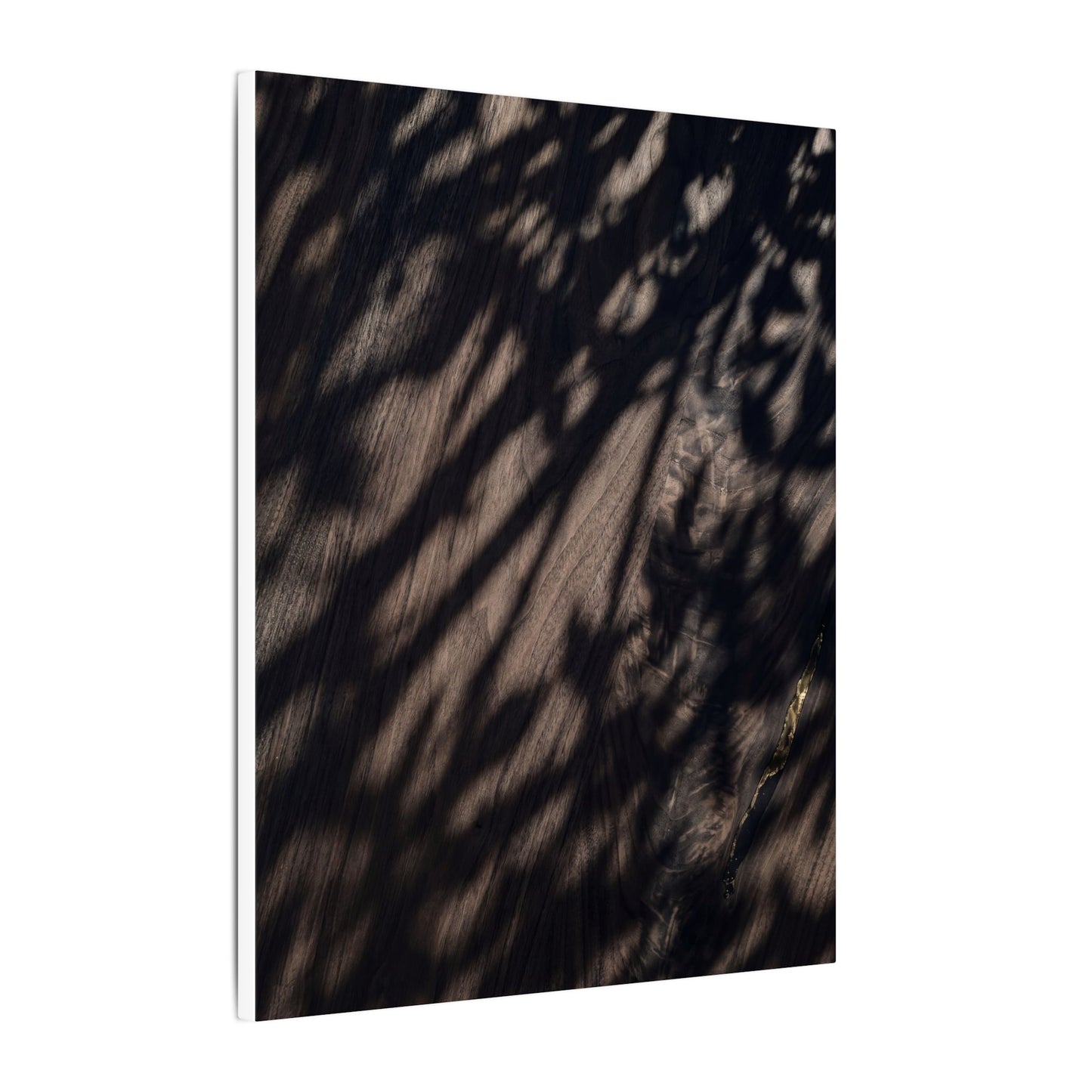 Shadow Play Summer Canvas Art | Dark Japandi Moody Design