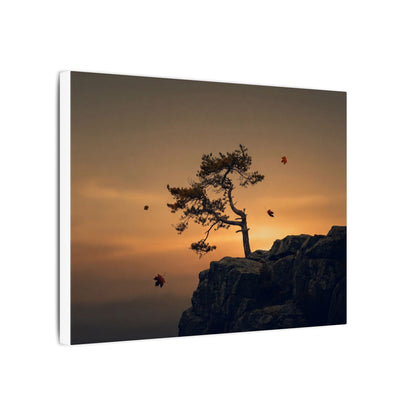 Dark Japandi Pine Tree in Golden Hour | Moody Minimal Canvas Art