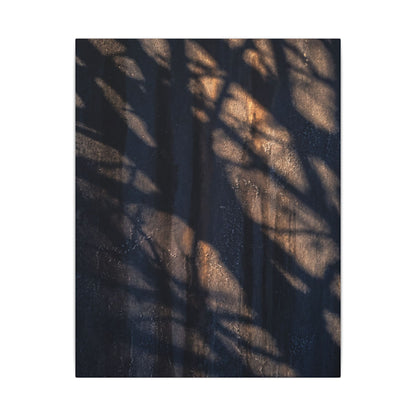 Dark Japandi Shadow Play in Golden Hour | Shadow Zen Canvas Art
