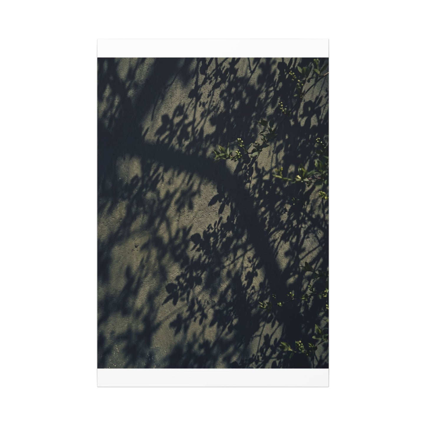 Atmospheric Shadow Play Canvas Art - Moody Minimal Dark Japandi