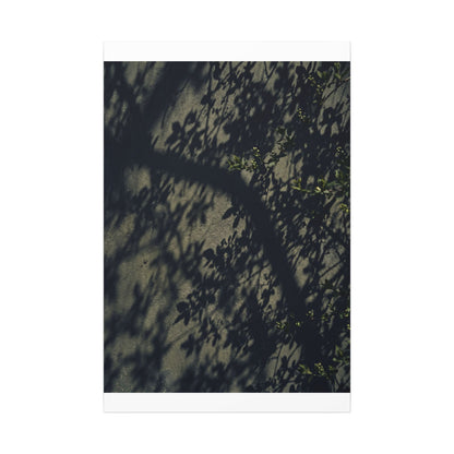 Atmospheric Shadow Play Canvas Art - Moody Minimal Dark Japandi