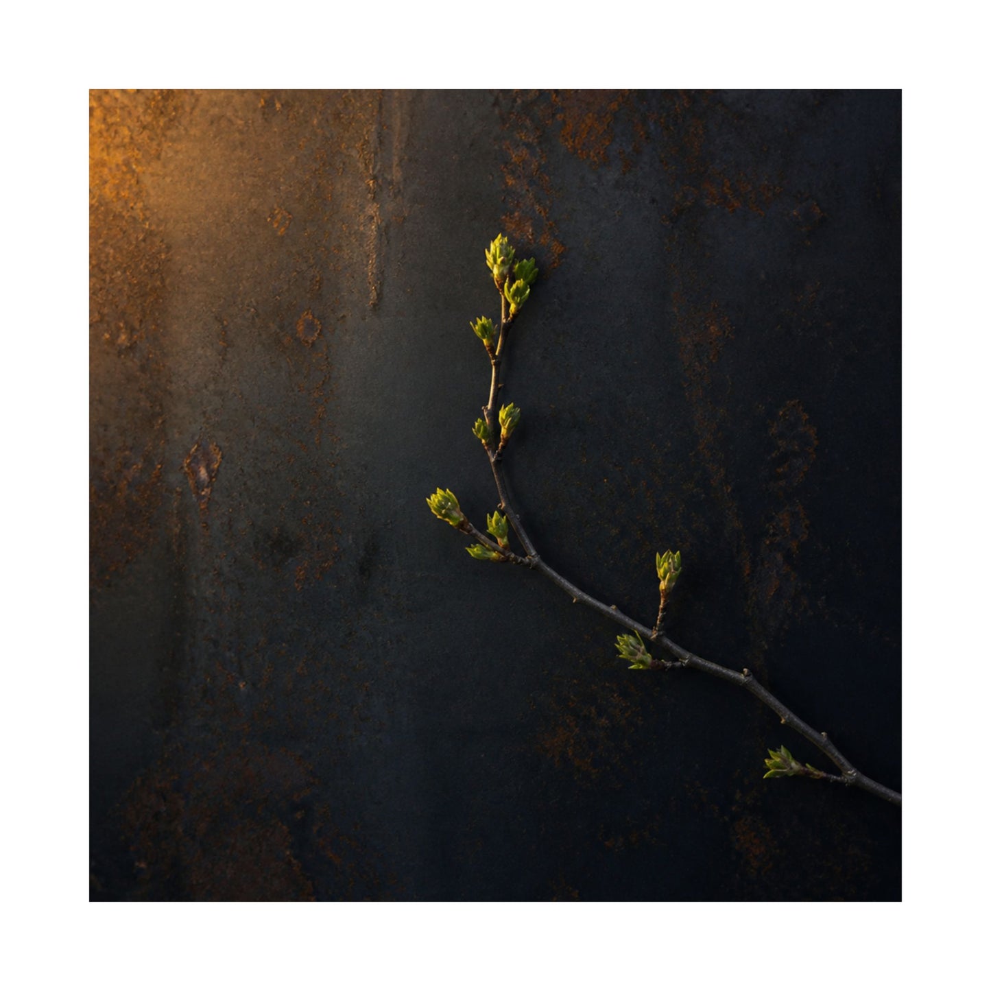 Bold Rust Patina Wall Art Print - Moody Minimal Dark Japandi
