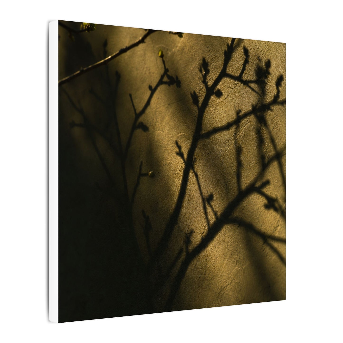 Golden Hour Shadow Play Canvas Art - Dark Japandi Seijaku