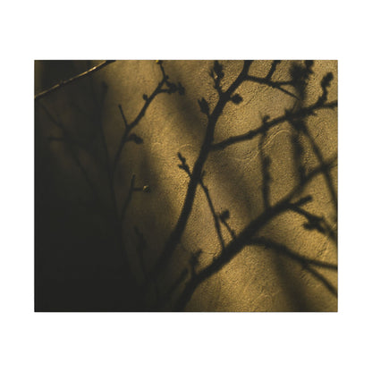 Golden Hour Shadow Play Canvas Art - Dark Japandi Seijaku