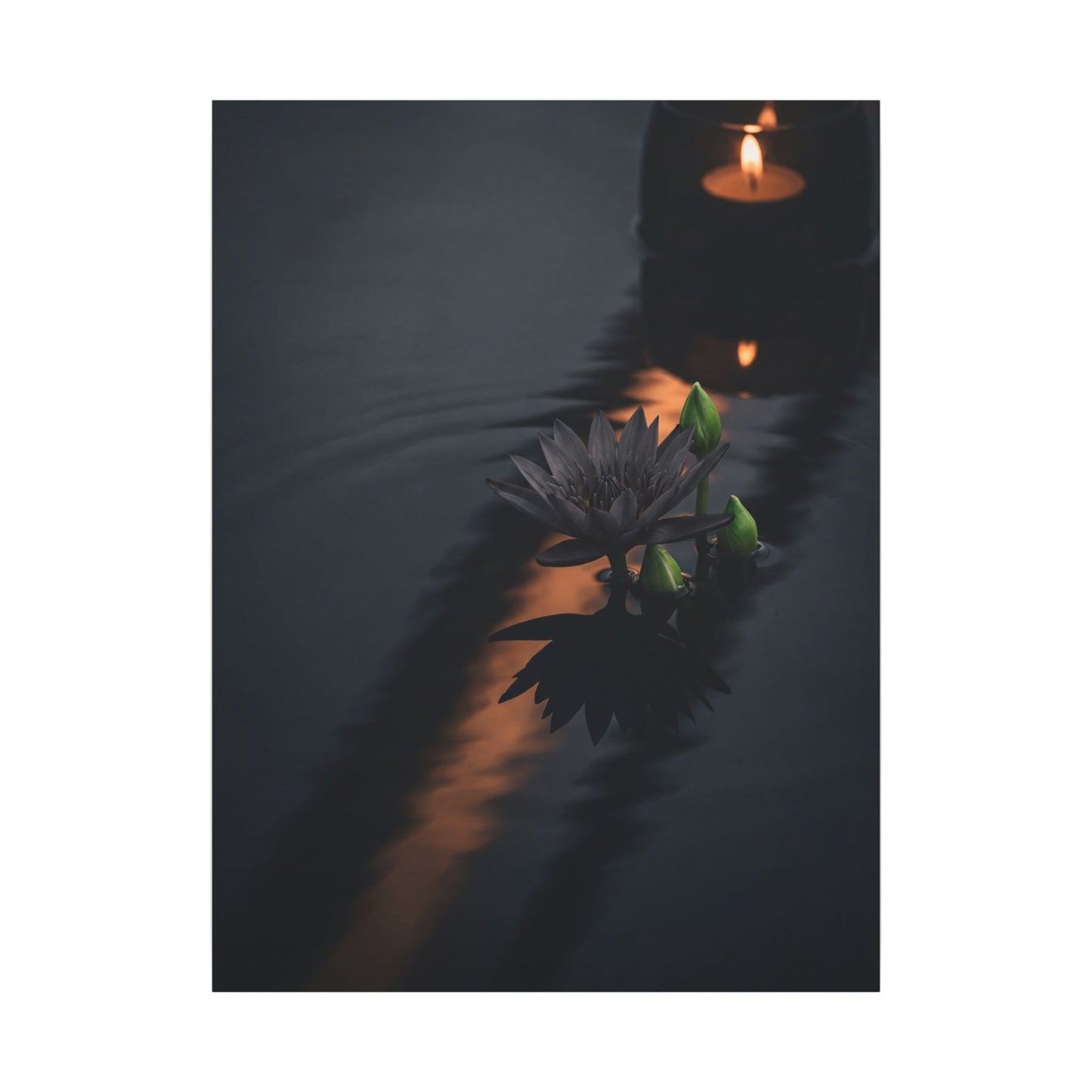 Seijaku Lotus Flower Canvas Art - Dark Japandi Shadow Zen