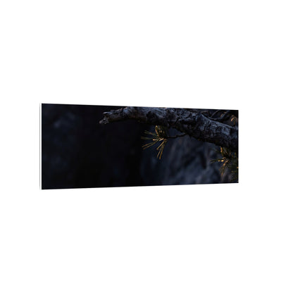 Pine Tree Moody Minimal Canvas Art | Sophisticated Dark Japandi Art