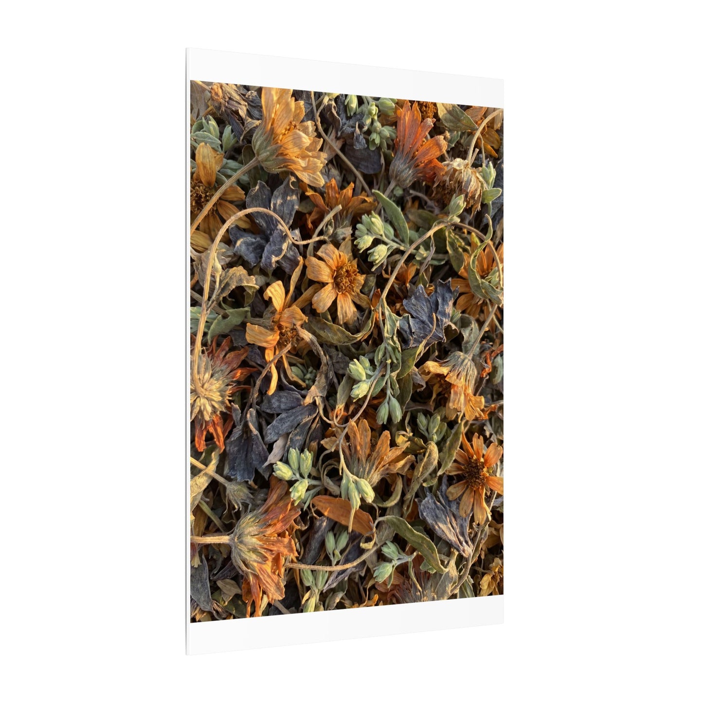 Spring Dried Flowers Japanese Pattern Canvas Art | Warm Decor