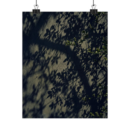 Shadow Play Moody Minimal Wall Art Print | Atmospheric Dark Japandi Art