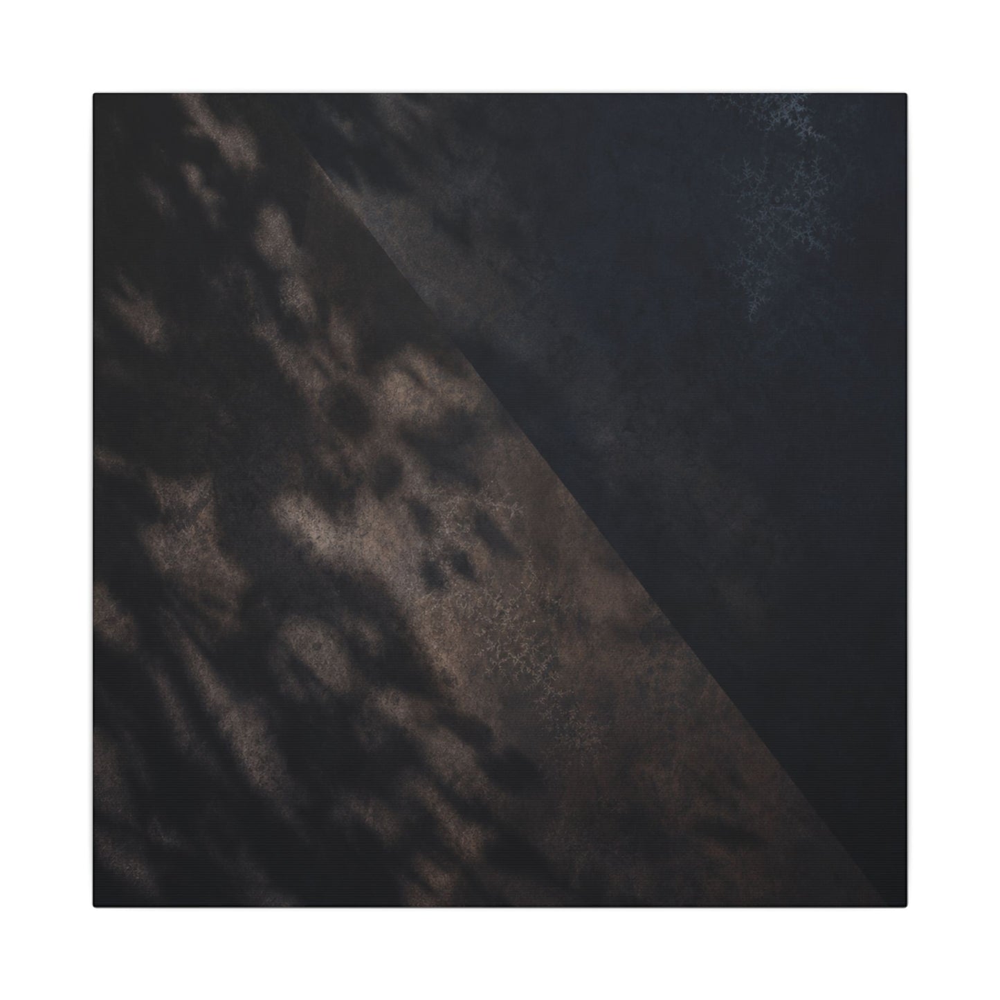 Shadow Play Winter Canvas Art | Dark Japandi Moody Design