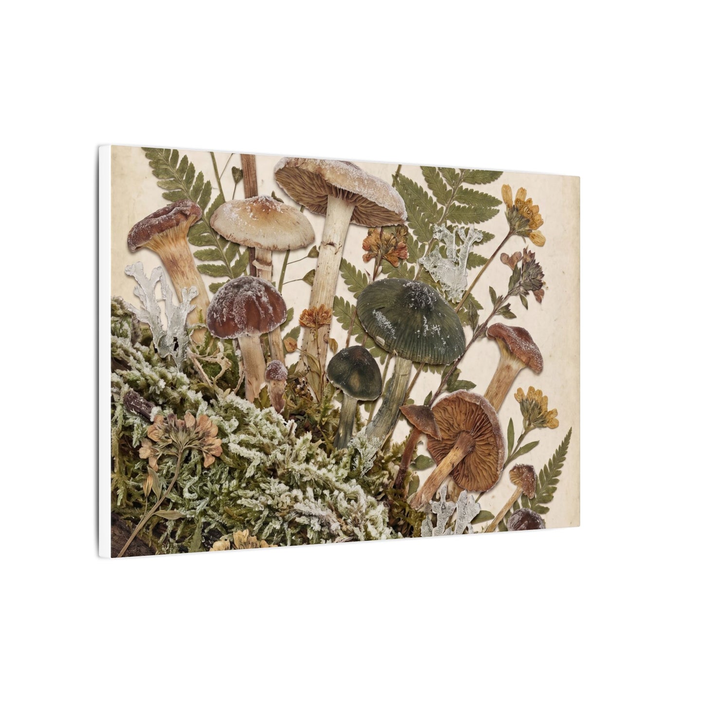 Winter Wild Mushrooms Herbarium Canvas Art | Enchanting Decor