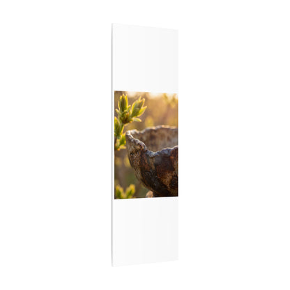 Golden Hour Ceramic Bowl Canvas Art - Dark Japandi Ma