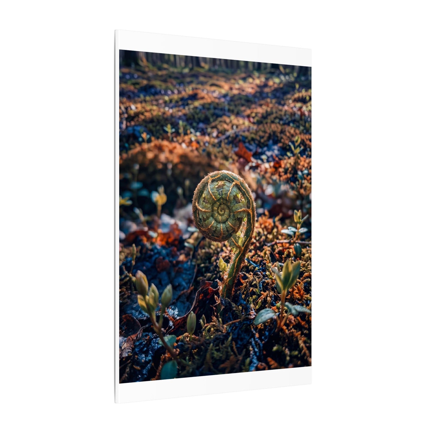 Kintsugi Fern Unfurling in Dappled | Gold Vein Canvas Art