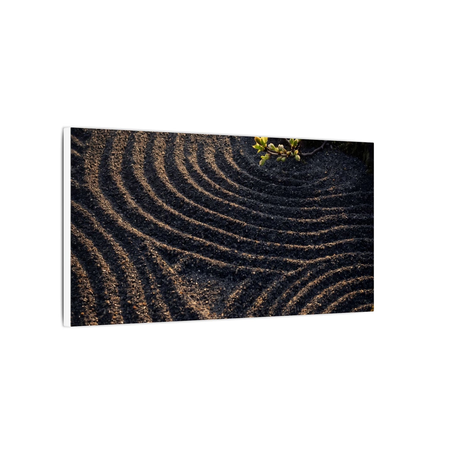 Spring Rock Garden Shadow Zen Canvas Art | Atmospheric Decor