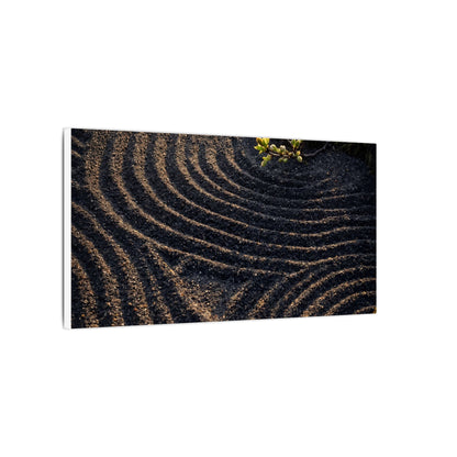 Spring Rock Garden Shadow Zen Canvas Art | Atmospheric Decor