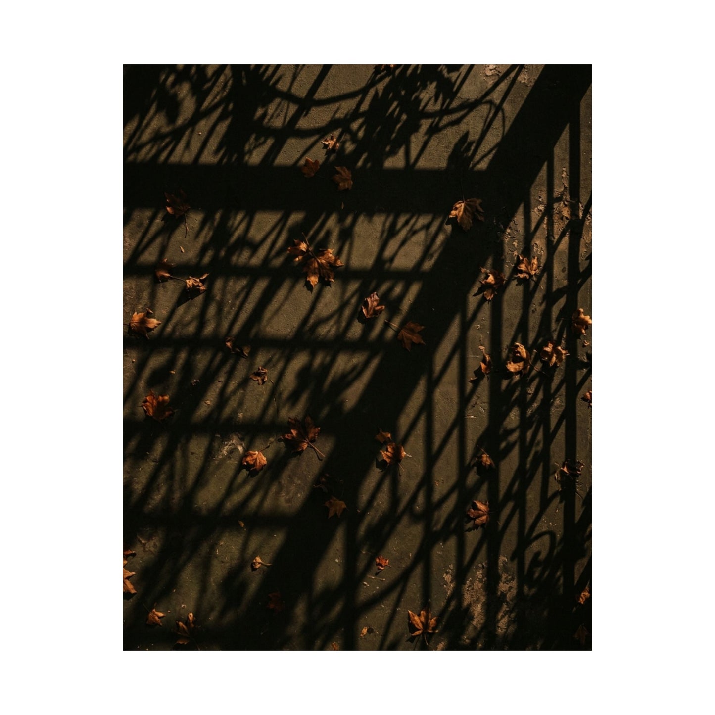 Atmospheric Shadow Play Wall Art Print - Moody Minimal Dark Japandi