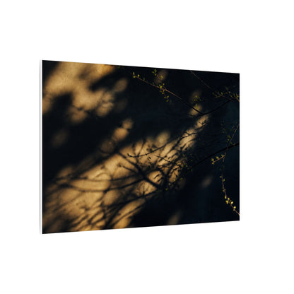 Moody Shadow Play Canvas Art - Moody Minimal Dark Japandi