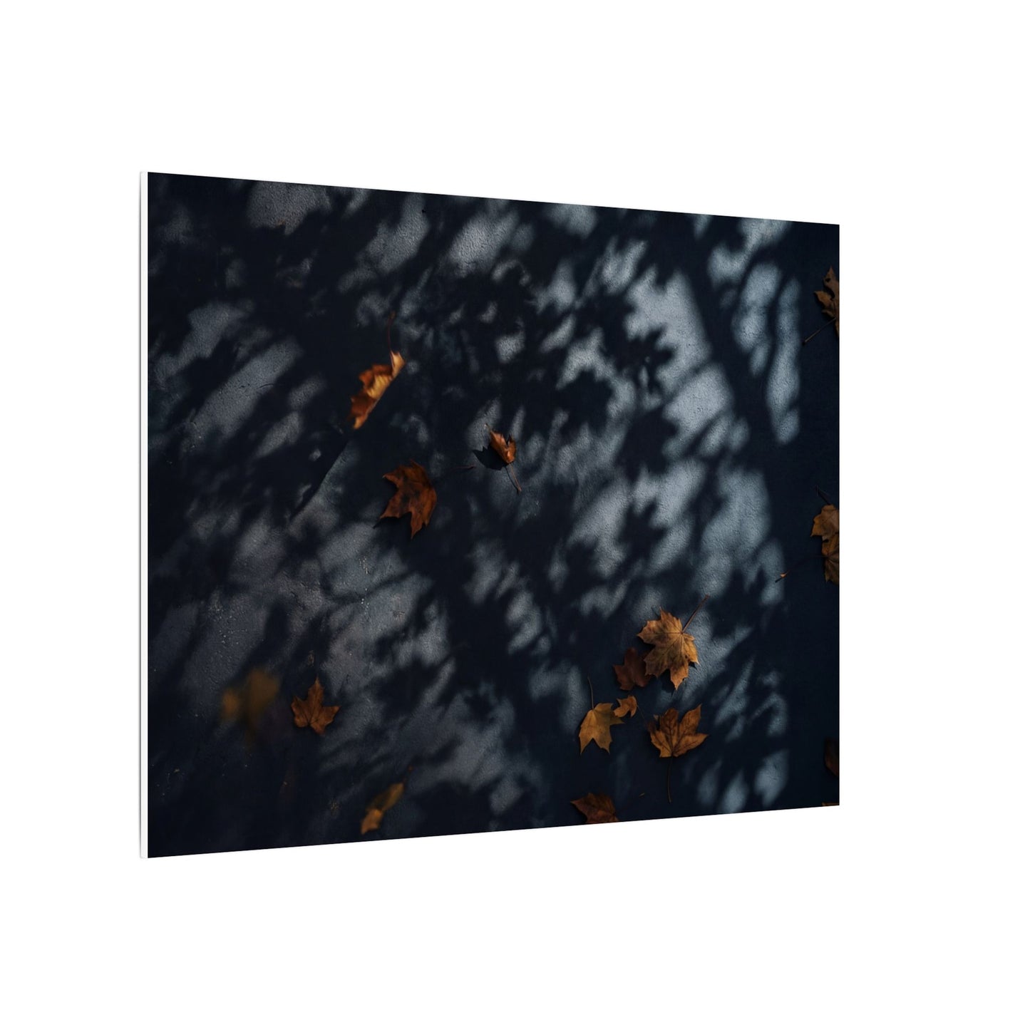 Autumn Shadow Play Shadow Zen Canvas Art | Atmospheric Decor