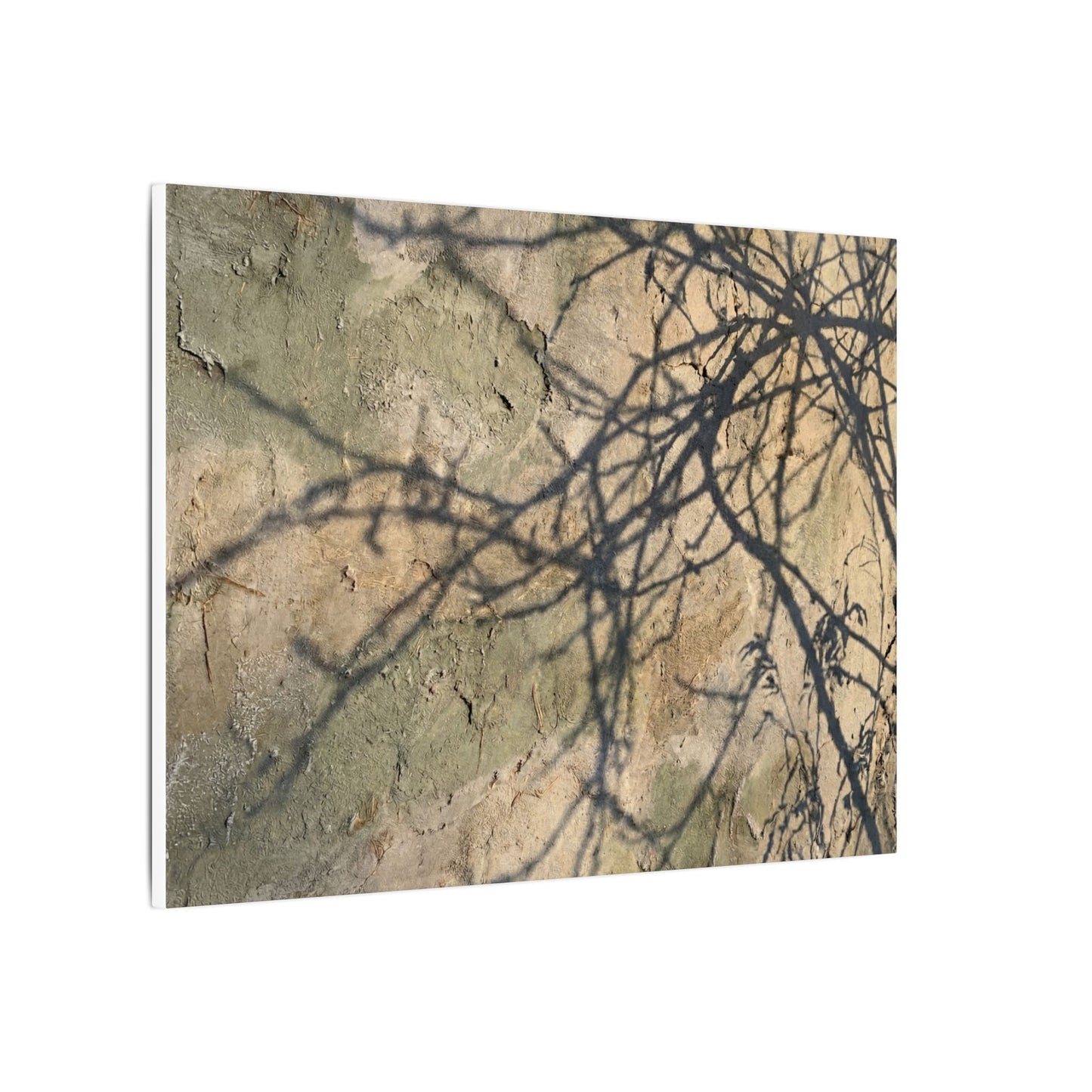 Japandi Shadow Play in Golden Hour | Texture Canvas Art
