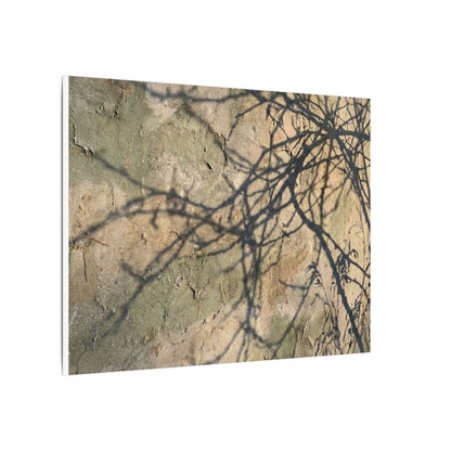 Japandi Shadow Play in Golden Hour | Texture Canvas Art