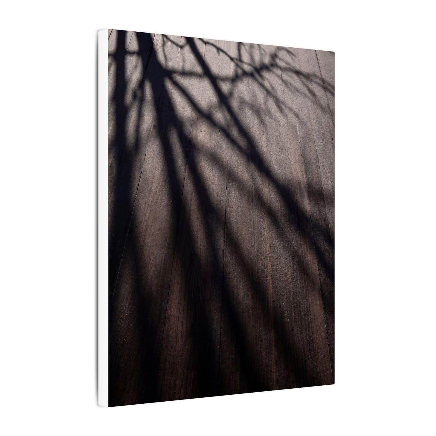 Dark Japandi Shadow Play in Dawn | Moody Minimal Canvas Art