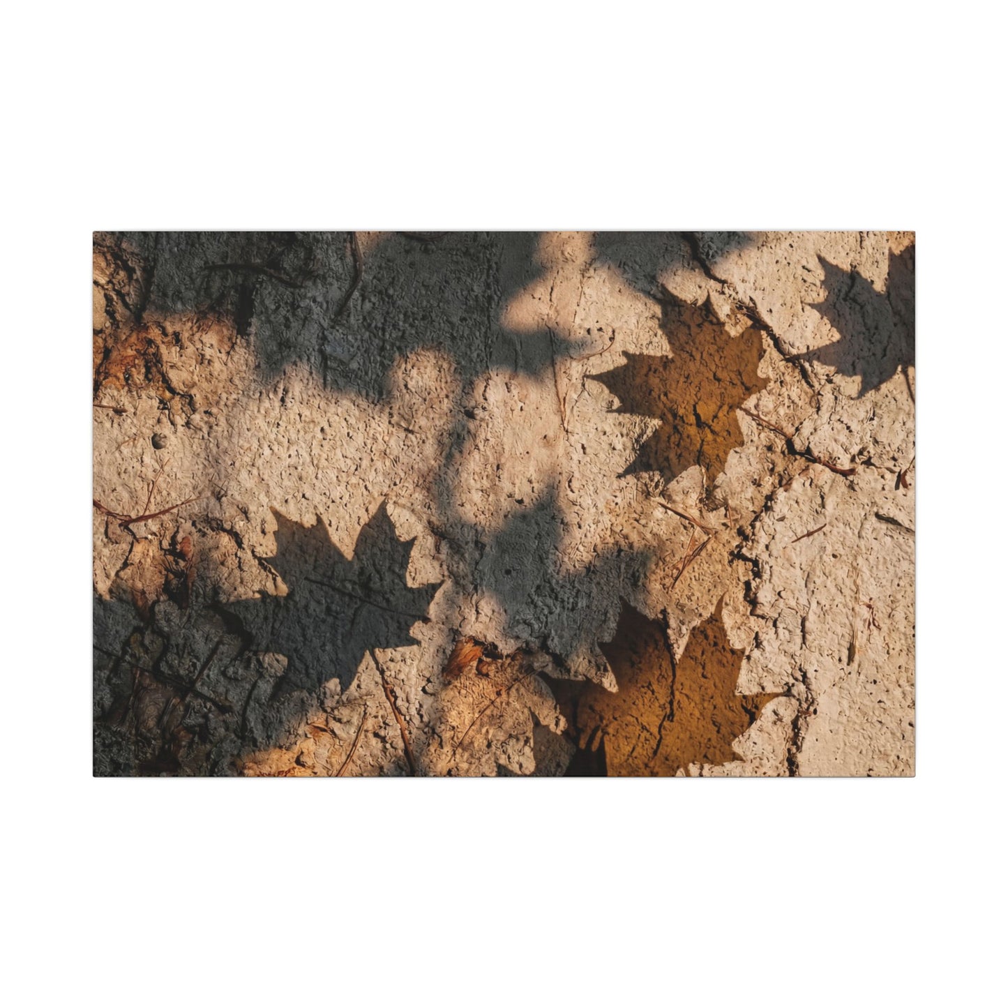 Cozy Shadow Play Canvas Art - Texture Japandi