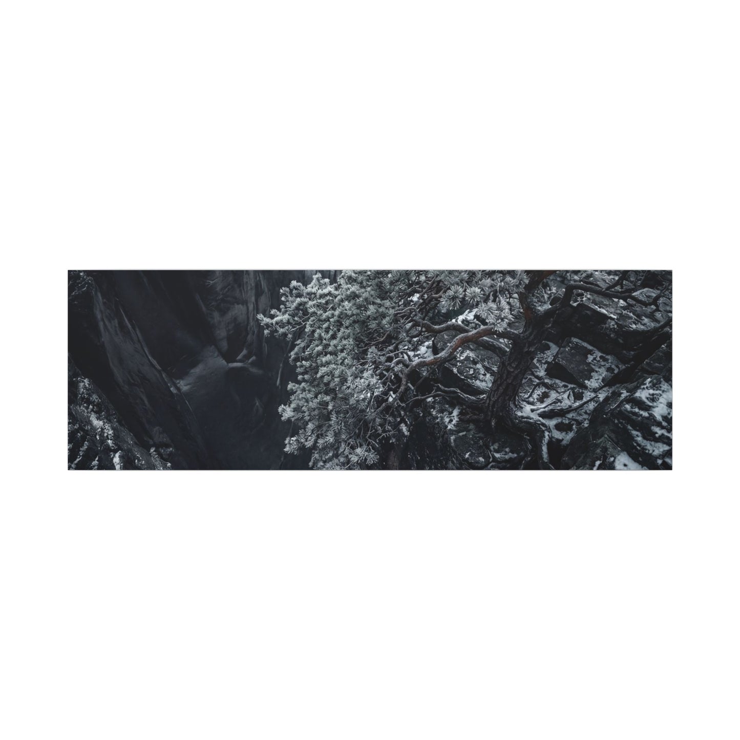 Dark Japandi Pine Tree in Dappled | Dark Texture Canvas Art