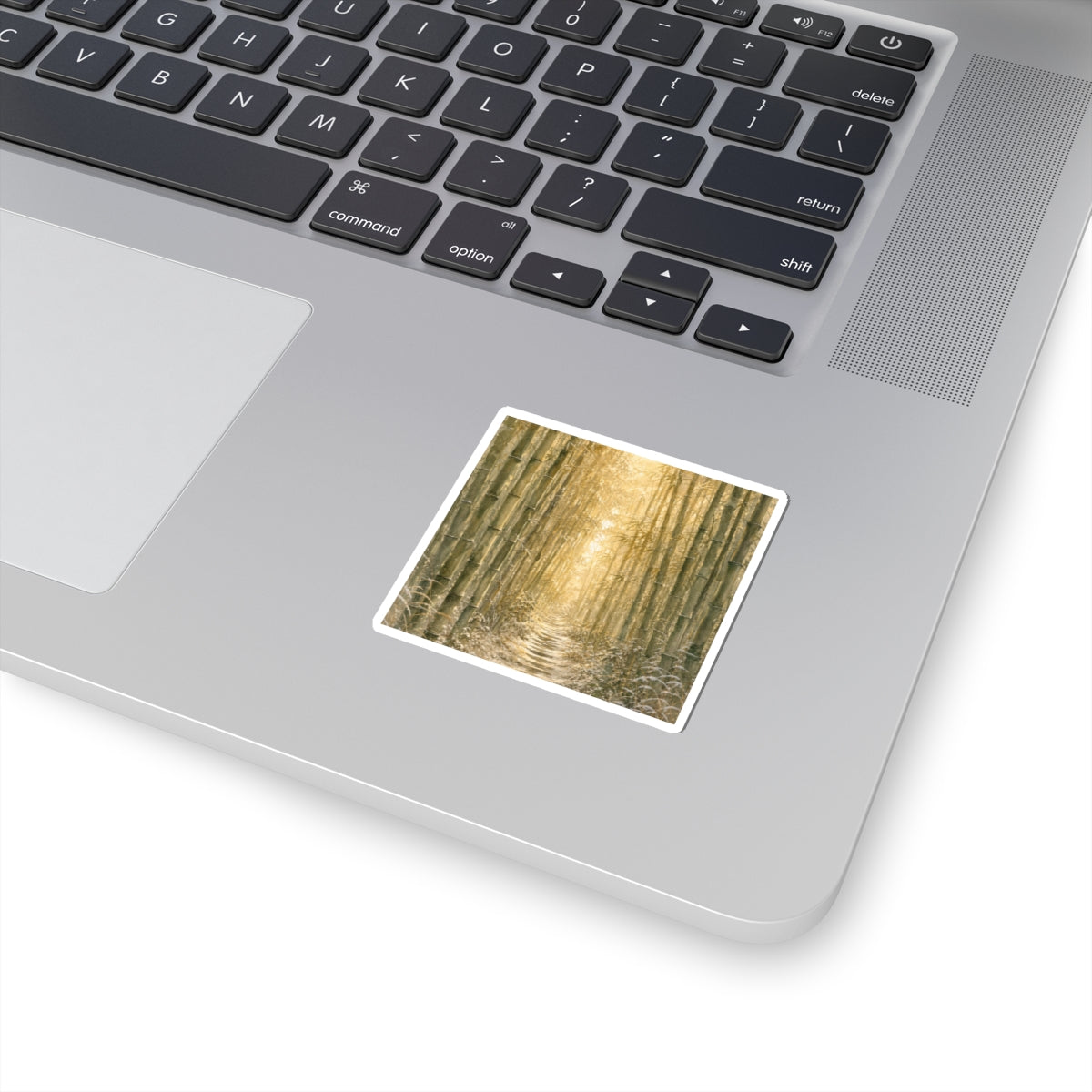 Golden Hour Bamboo Grove Sticker - Japandi Shibui