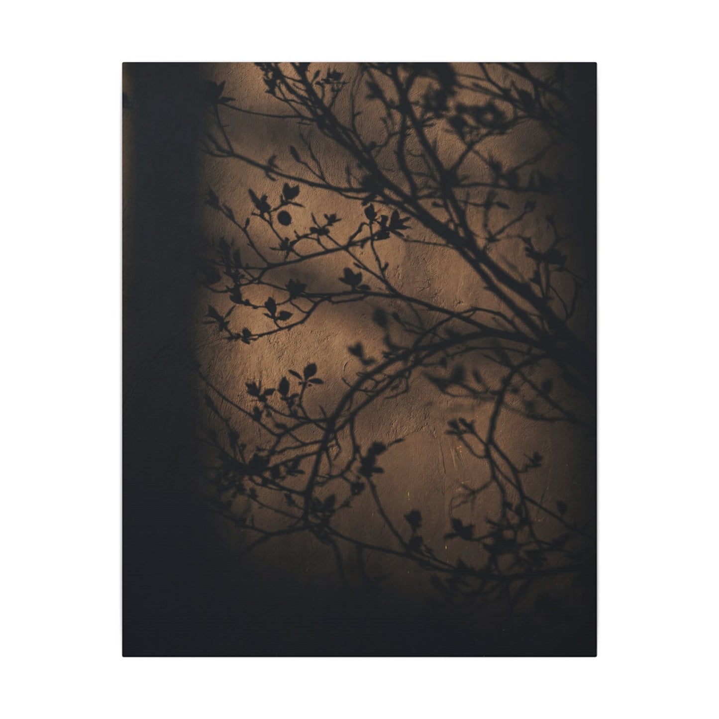 Dark Japandi Shadow Play in Golden Hour | Shadow Zen Canvas Art