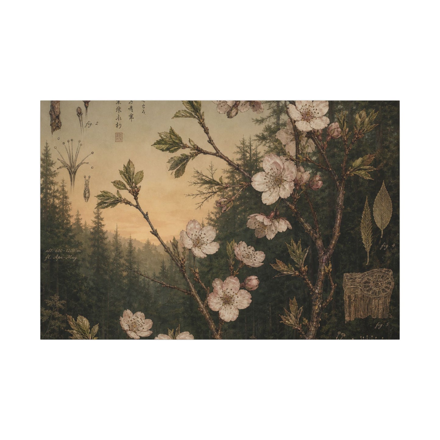 Spring Cherry Blossom Herbarium Canvas Art | Nostalgic Decor