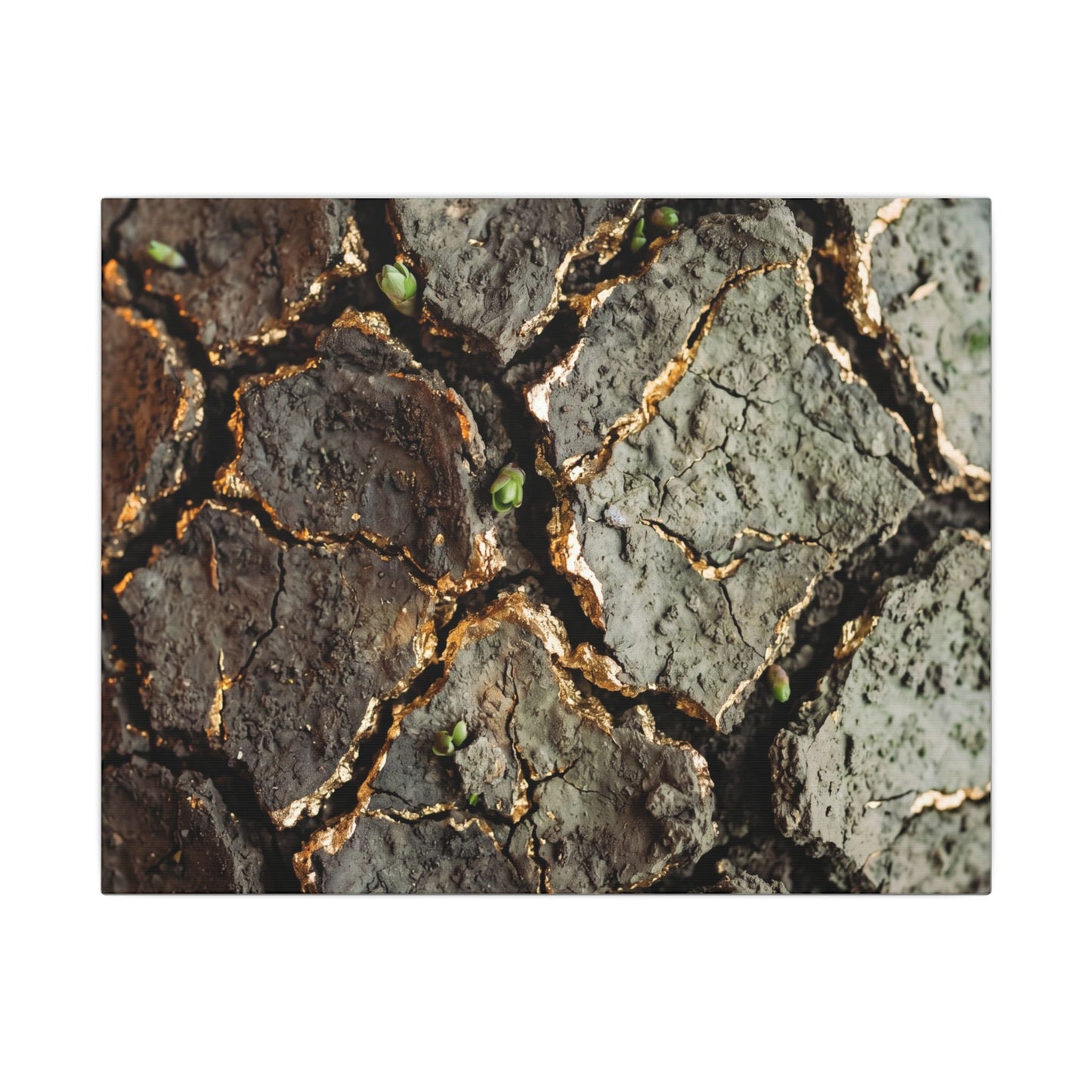 Earthy Cracked Earth Canvas Art - Japanese Pattern Japandi