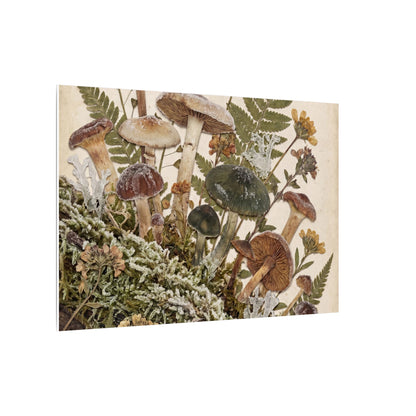 Winter Wild Mushrooms Herbarium Canvas Art | Enchanting Decor